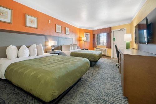 Quality Inn & Suites Galveston - Beachfront image 20